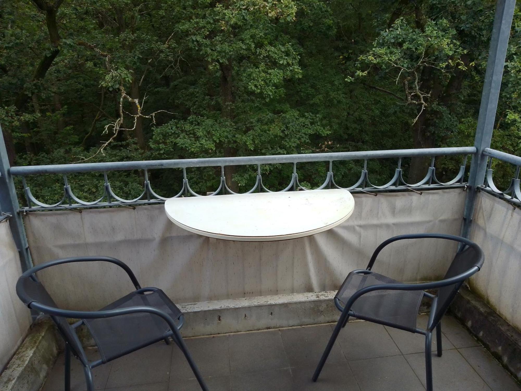 Apartment Preisselpoehl Plauen Exteriör bild